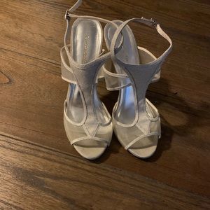 Gorgeous evening Shoe